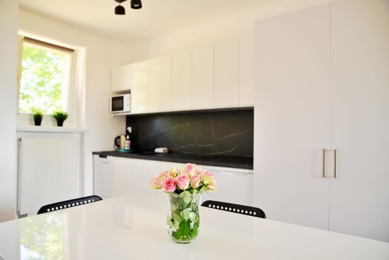 Apartamenty Lotnisko Leszno レシュノ エクステリア 写真